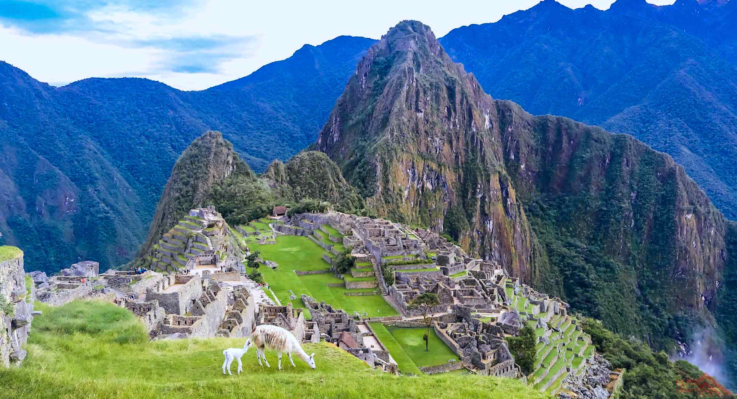 Que Ricachu Choquequirao Trek to Machu Picchu 9 Days, Enhanced Hike: Peru Summit