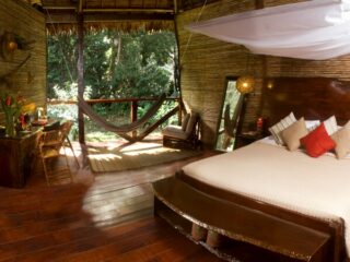 Tambopata 3 Days