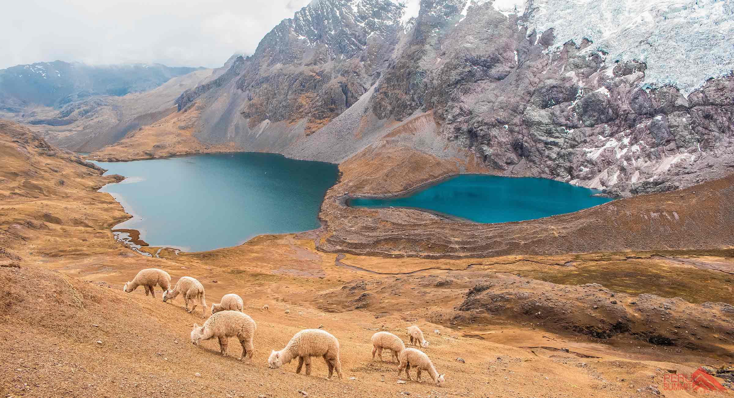 ausangate trek 5 days to rainbow mountain