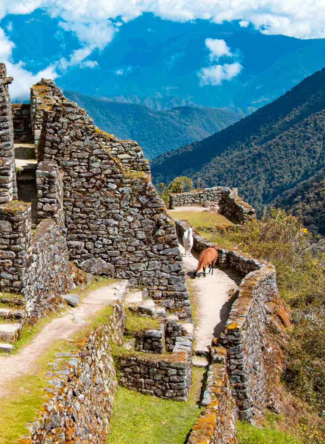 Salkantay Trek vs Inca Trail