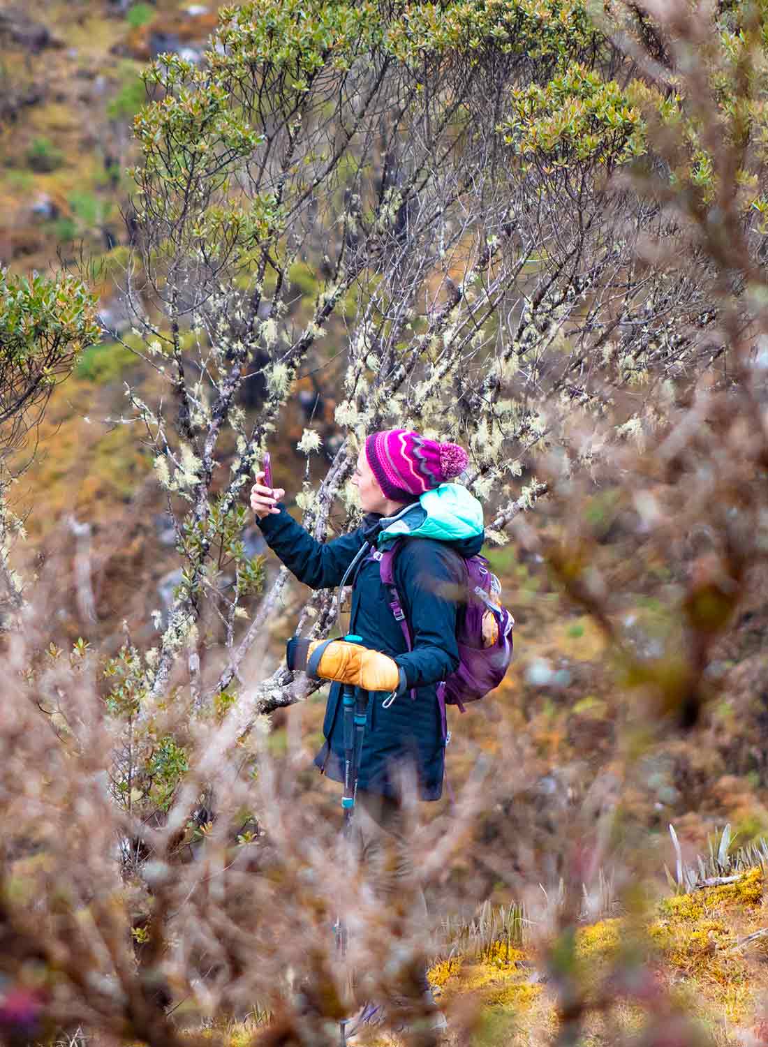 Salkantay Trek vs Inca Trail